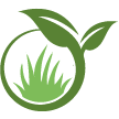 Acworth Lawn Clean Up