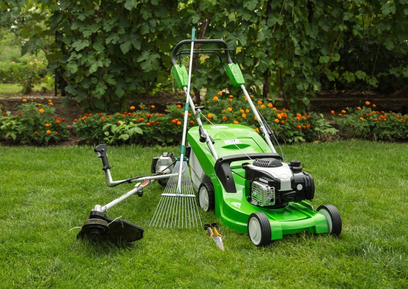 Lawn Clean Up Equipment