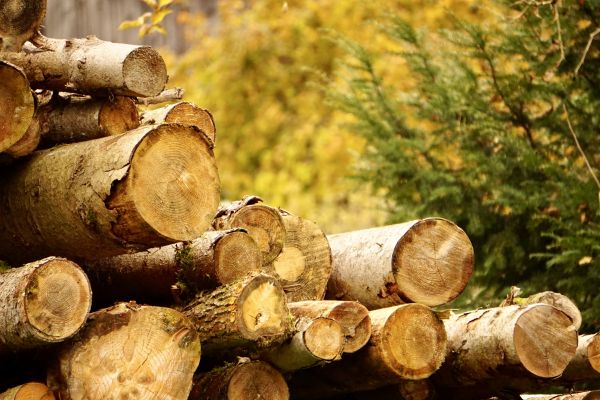 Wood Pile Removal in Acworth