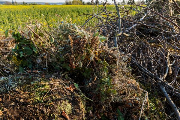 Brush Disposal in Acworth