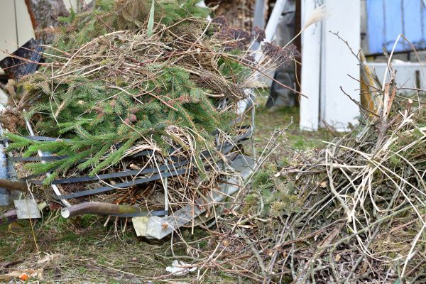 Yard Waste Removal Service in Acworth