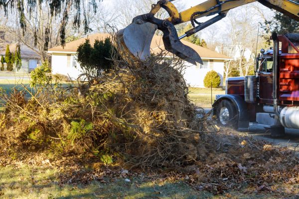 Storm Debris Removal in Acworth