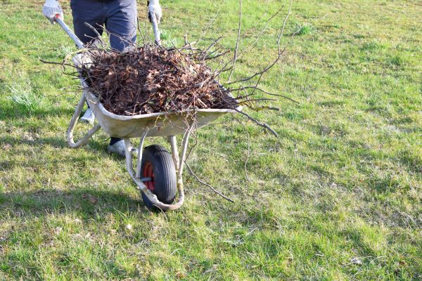 Yard Brush Removal in Acworth