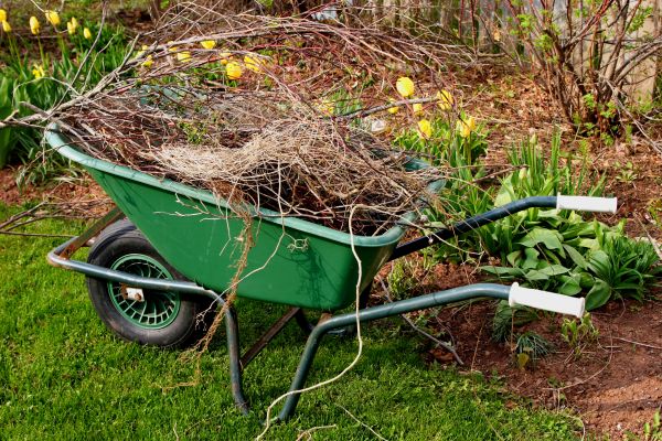 Lawn Waste Removal in Acworth